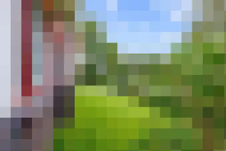 Molenweg 26 Thesinge thumbnail 48