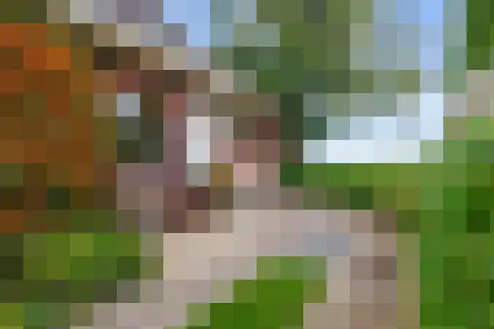 Molenweg 26 Thesinge thumbnail 49