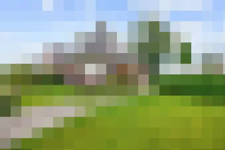 Molenweg 26 Thesinge thumbnail 5