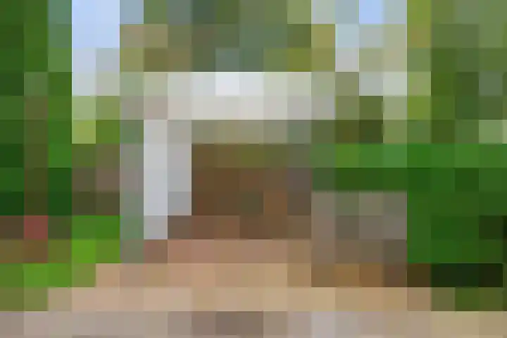 Molenweg 26 Thesinge thumbnail 50