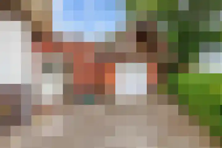 Molenweg 26 Thesinge thumbnail 51