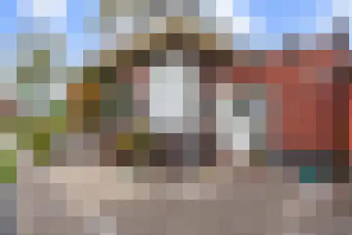 Molenweg 26 Thesinge thumbnail 52