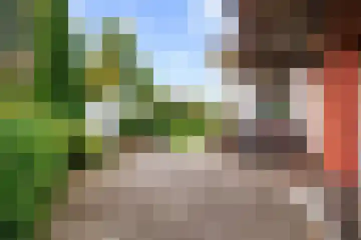 Molenweg 26 Thesinge thumbnail 53