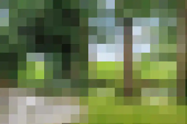 Molenweg 26 Thesinge thumbnail 54