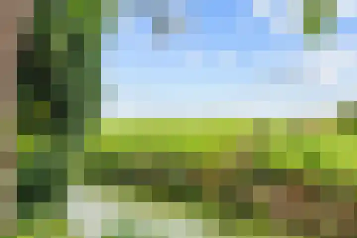 Molenweg 26 Thesinge thumbnail 55