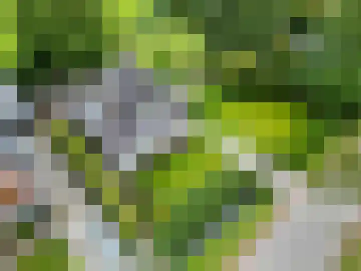 Molenweg 26 Thesinge thumbnail 56