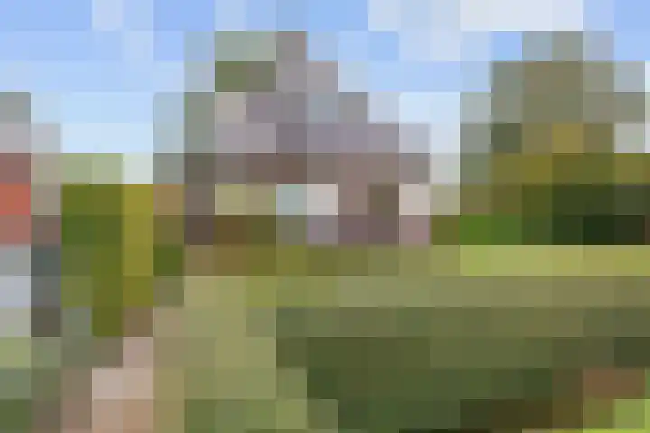 Molenweg 26 Thesinge thumbnail 7