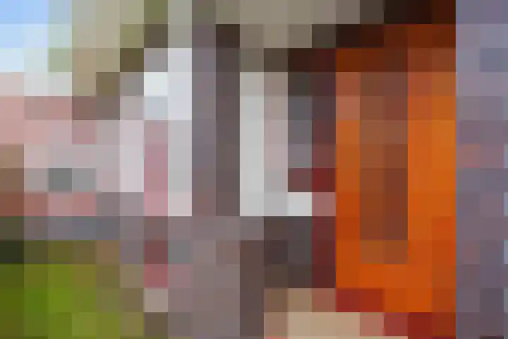 Molenweg 26 Thesinge thumbnail 8