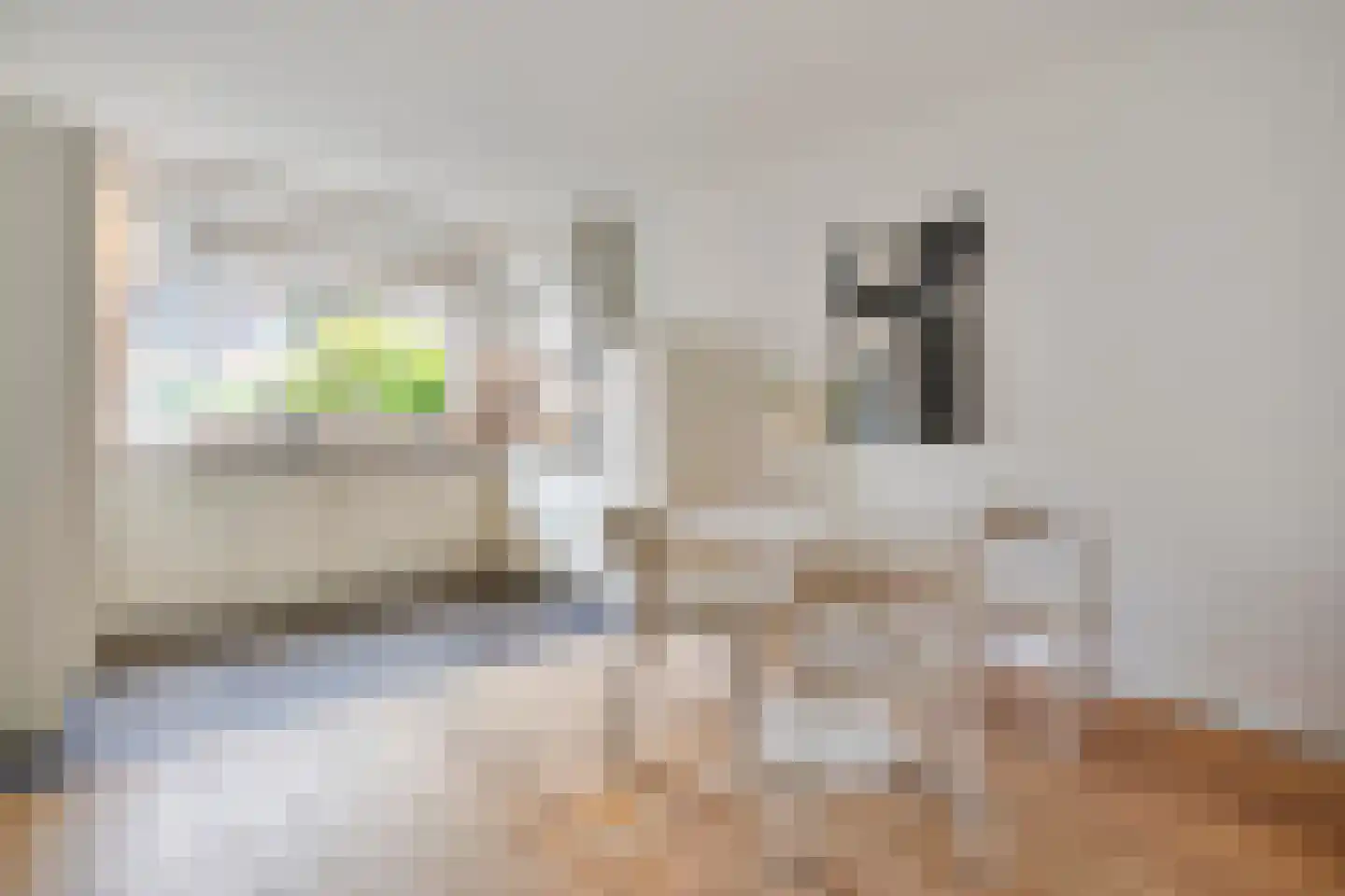 Molenweg 266 Zwolle thumbnail 15