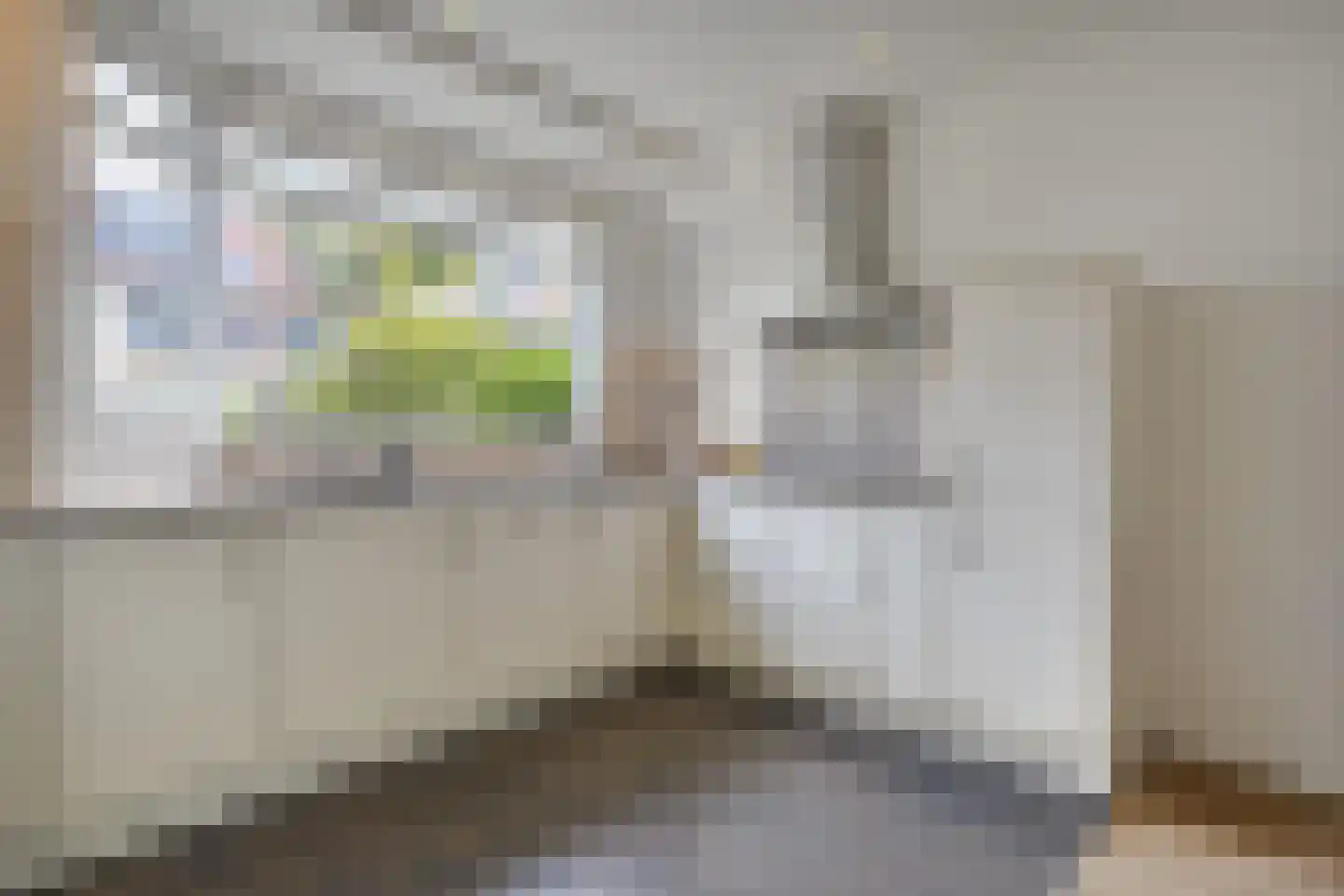 Molenweg 266 Zwolle thumbnail 16