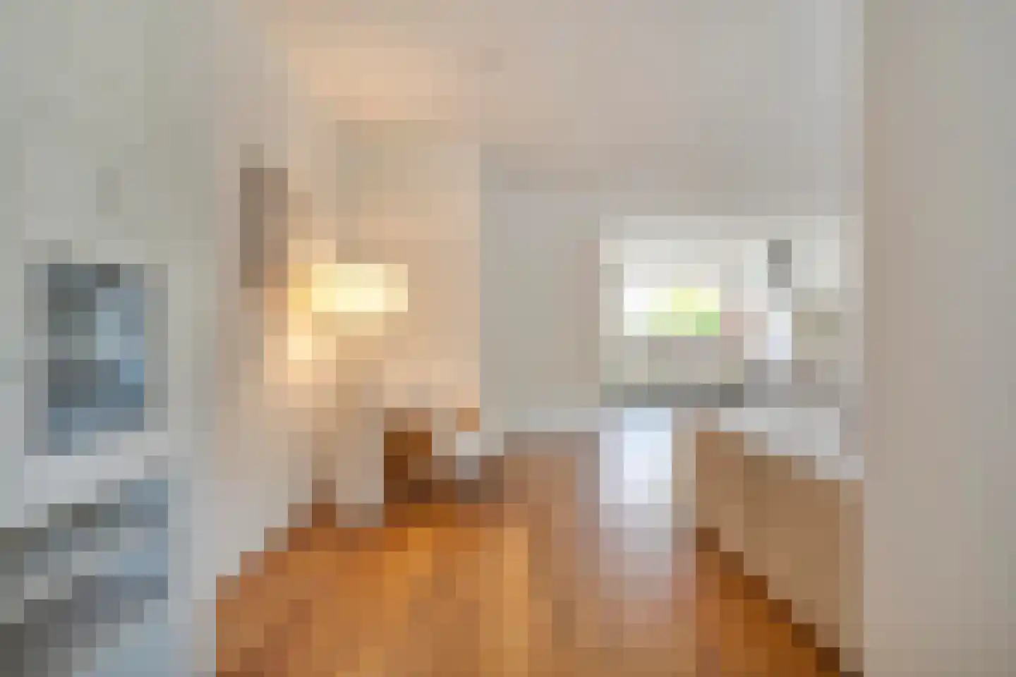Molenweg 266 Zwolle thumbnail 18