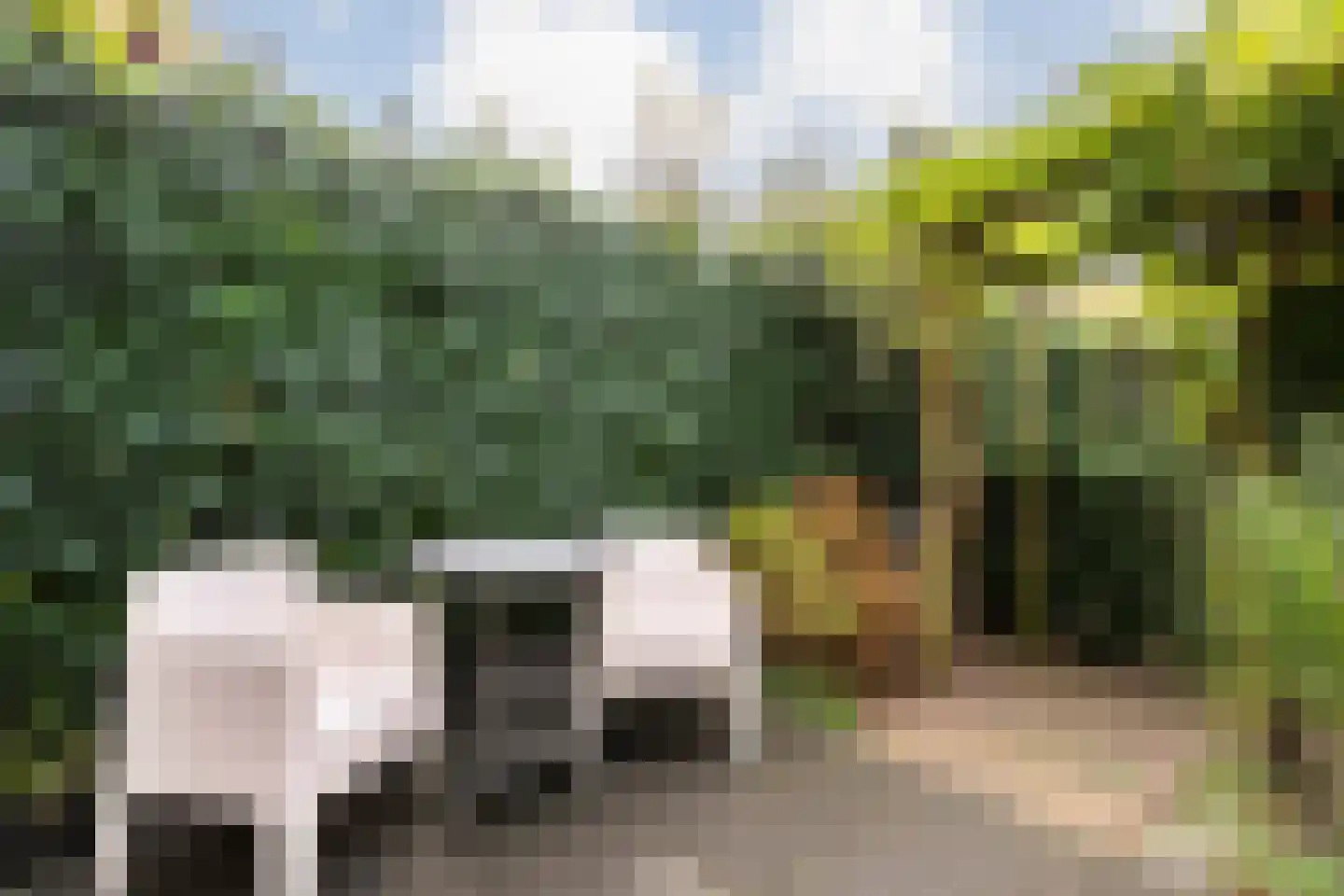 Molenweg 266 Zwolle thumbnail 41