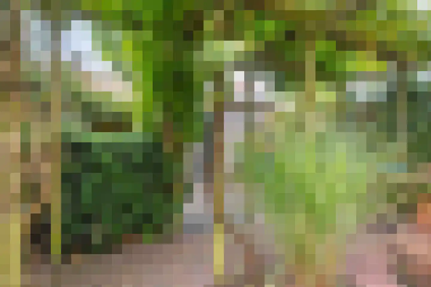 Molenweg 266 Zwolle thumbnail 42