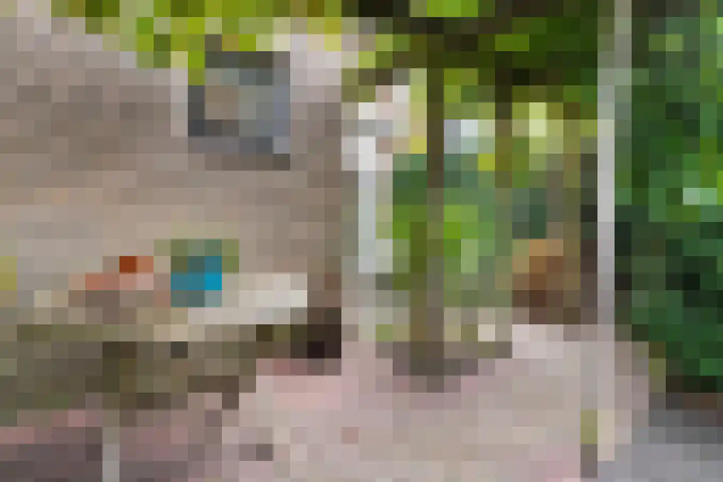 Molenweg 266 Zwolle thumbnail 43