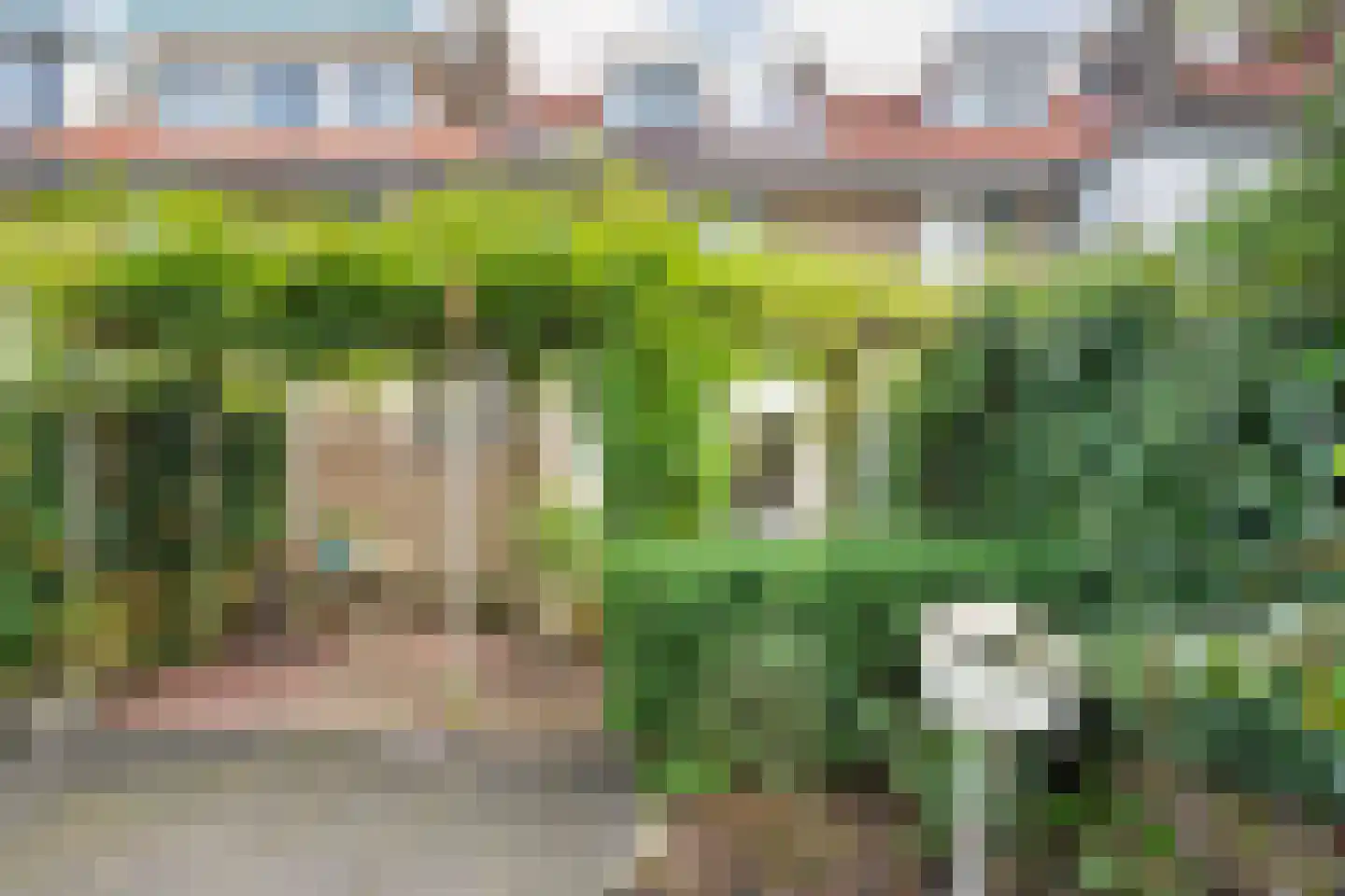 Molenweg 266 Zwolle thumbnail 44