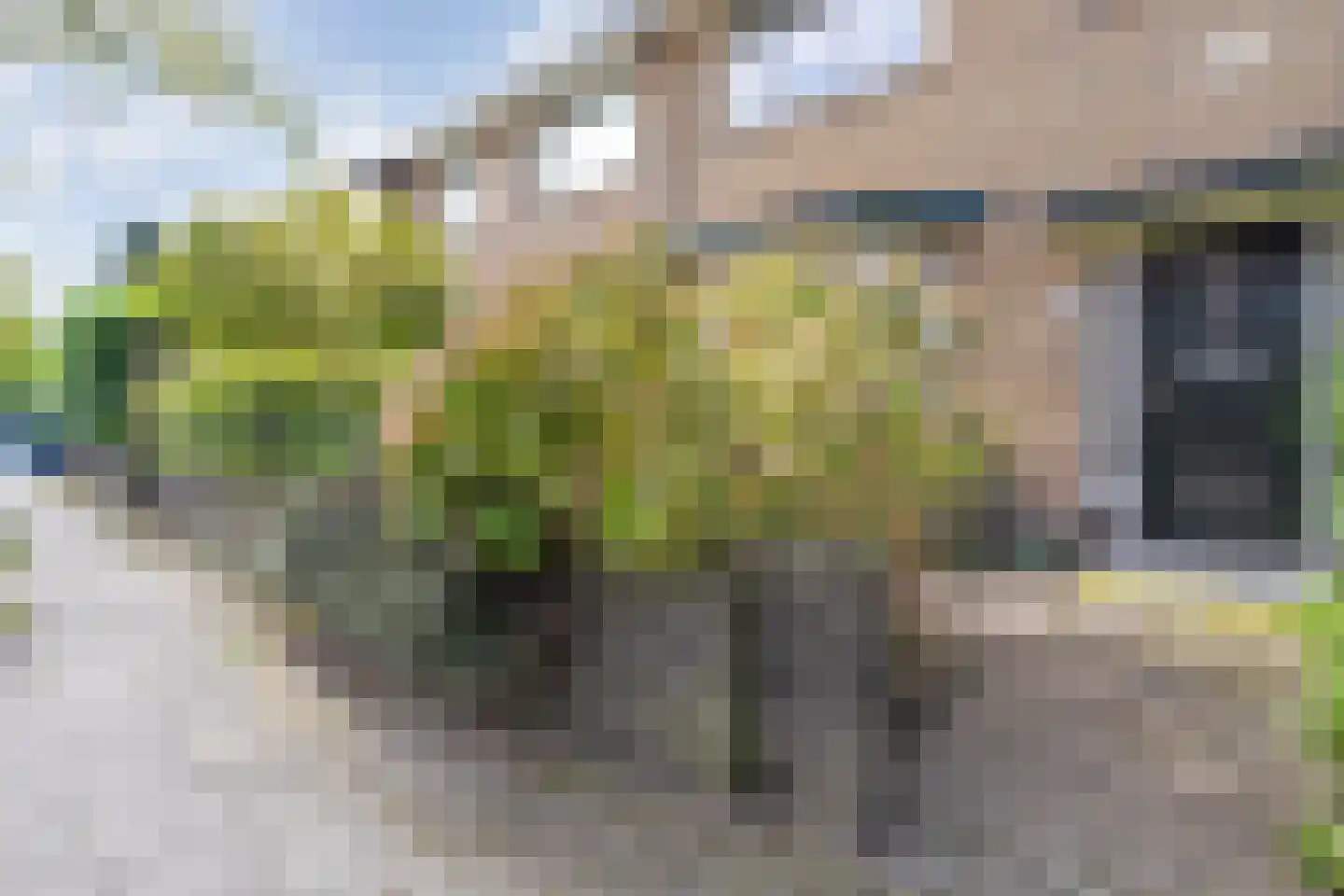 Molenweg 266 Zwolle thumbnail 48