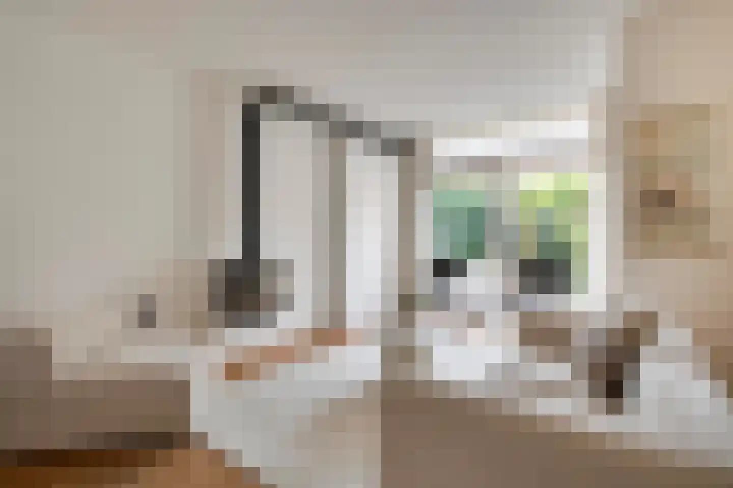 Molenweg 266 Zwolle thumbnail 7