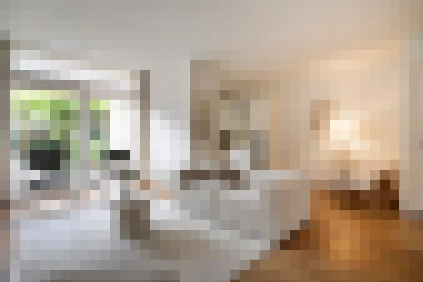 Molenweg 266 Zwolle thumbnail 8