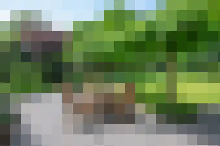 Molenweg 27 A Terwolde thumbnail 30