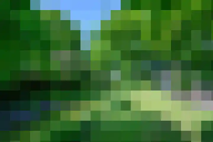 Molenweg 27 A Terwolde thumbnail 33