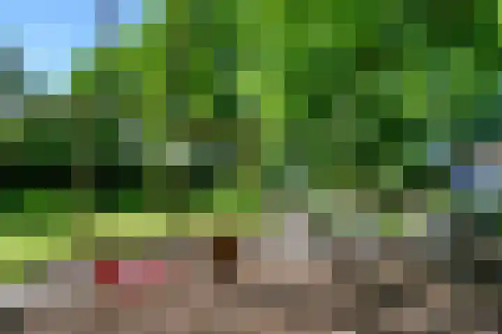 Molenweg 27 A Terwolde thumbnail 34