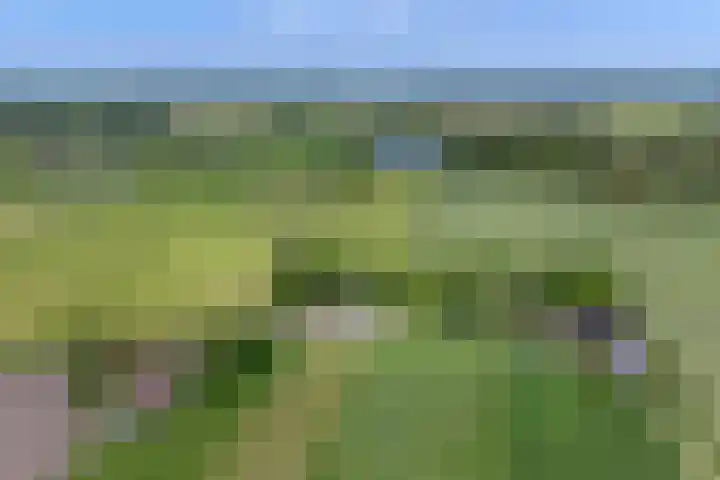Molenweg 27 A Terwolde thumbnail 35