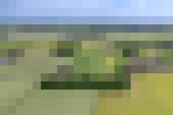 Molenweg 27 A Terwolde thumbnail 37