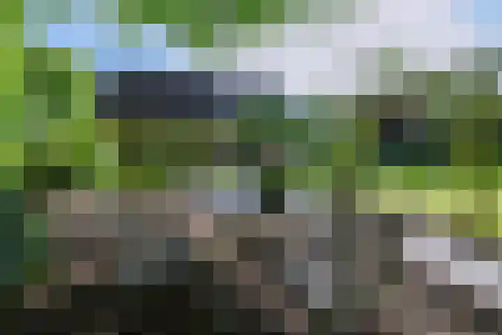 Molenweg 27 A Terwolde thumbnail 4