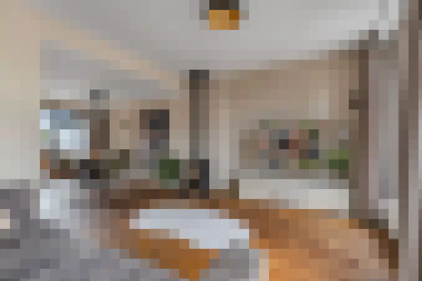 Molenweg 27 Joure thumbnail 16