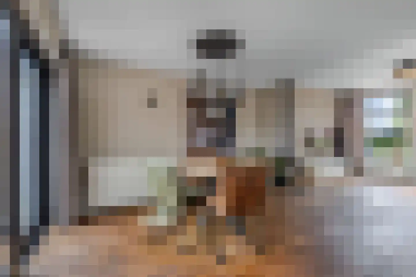 Molenweg 27 Joure thumbnail 19