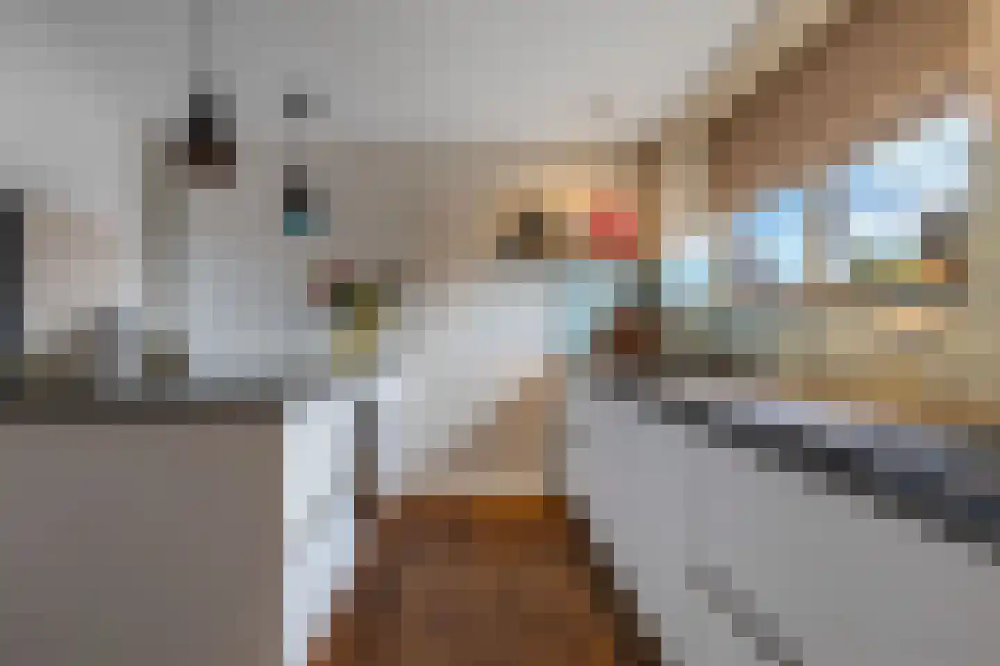 Molenweg 27 Joure thumbnail 23