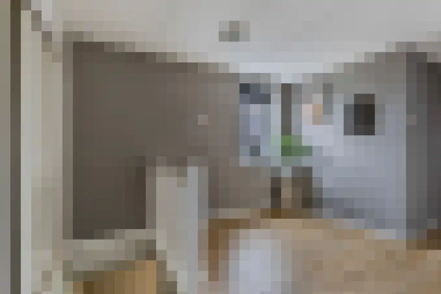 Molenweg 27 Joure thumbnail 30