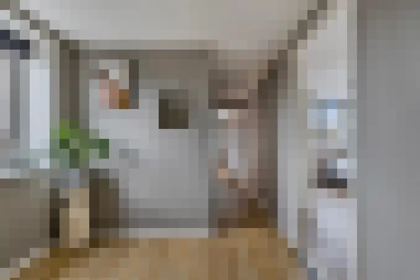 Molenweg 27 Joure thumbnail 31