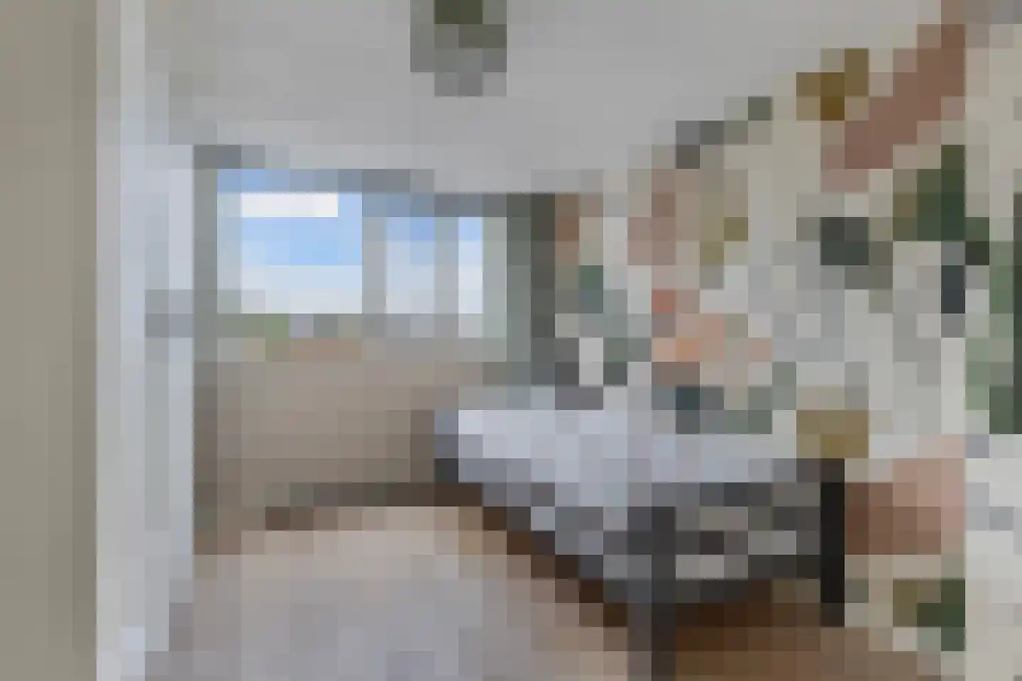 Molenweg 27 Joure thumbnail 36