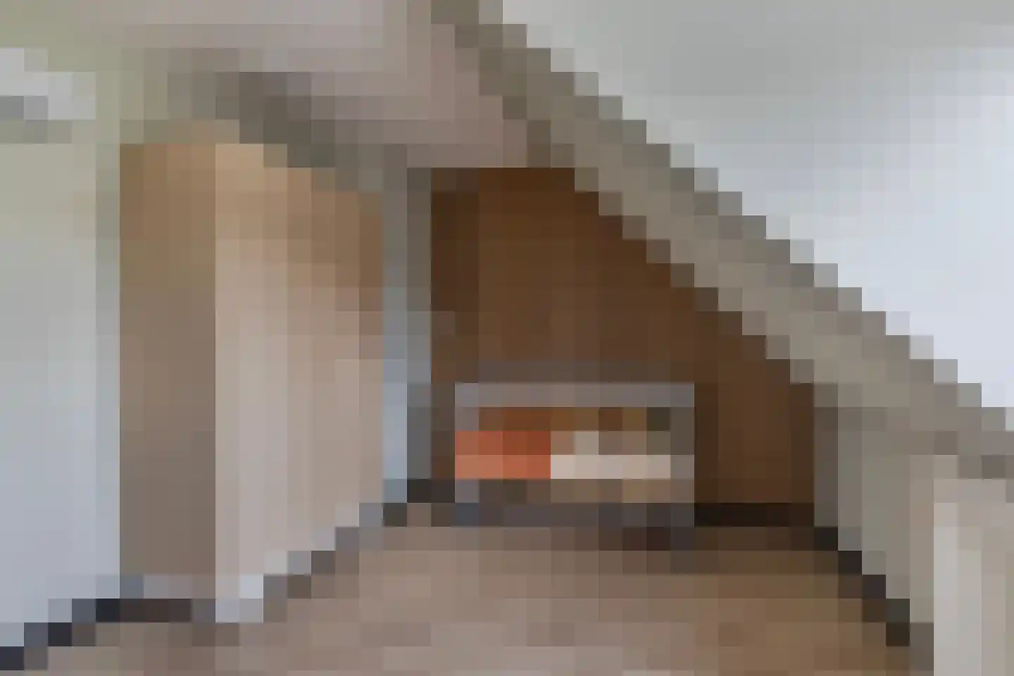 Molenweg 27 Joure thumbnail 39