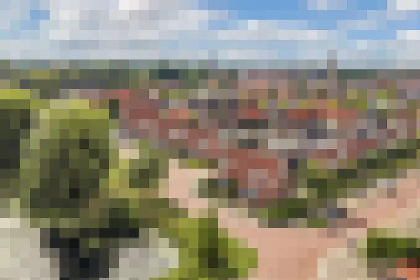 Molenweg 27 Joure thumbnail 58