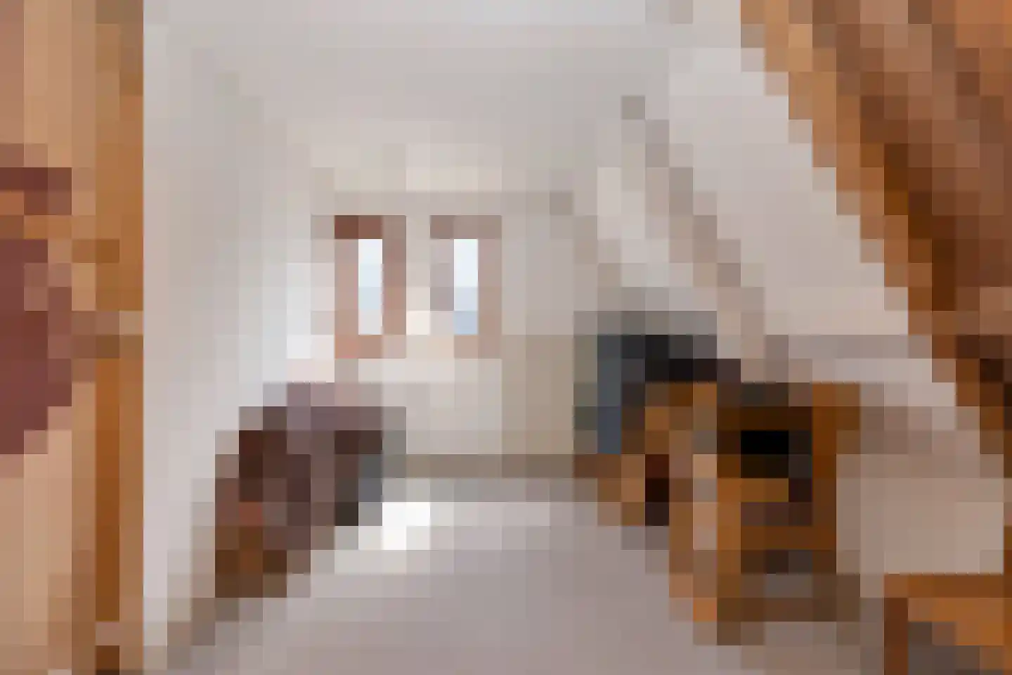 Molenweg 27 Wieringerwaard thumbnail 35