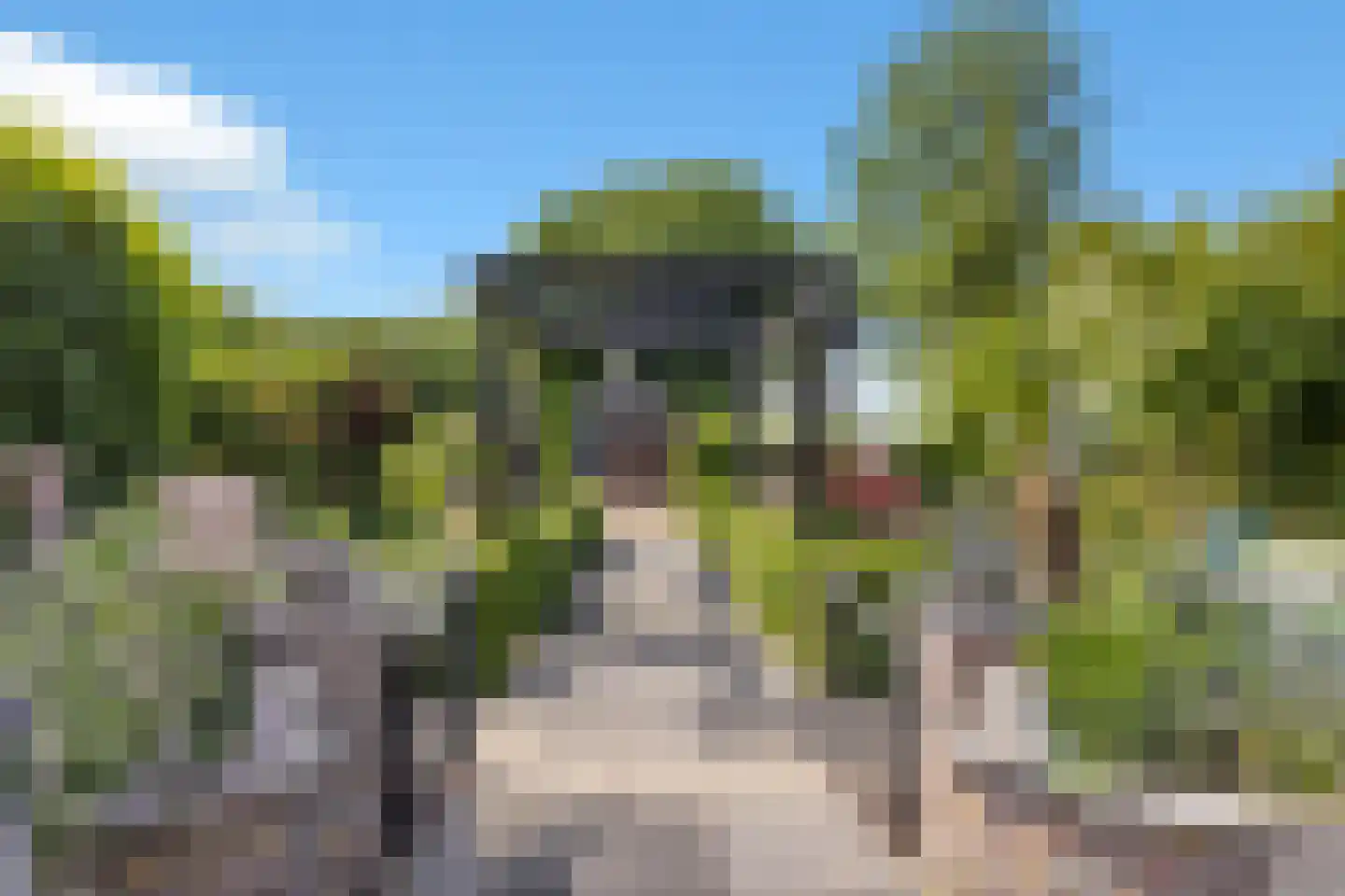 Molenweg 27 Wieringerwaard thumbnail 39