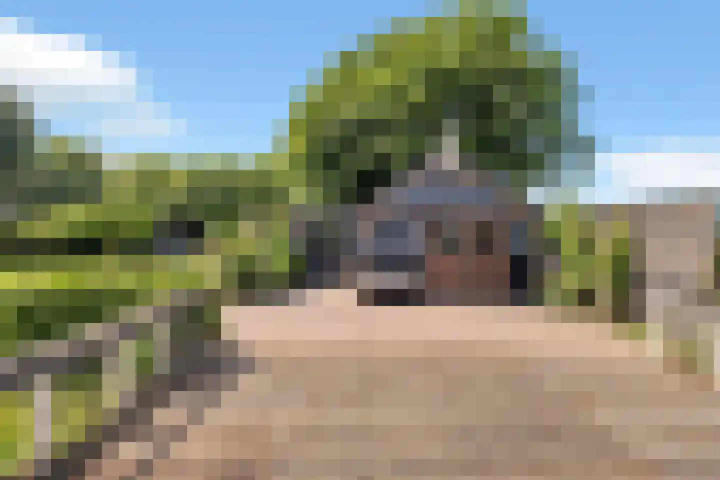 Molenweg 27 Wieringerwaard thumbnail 41