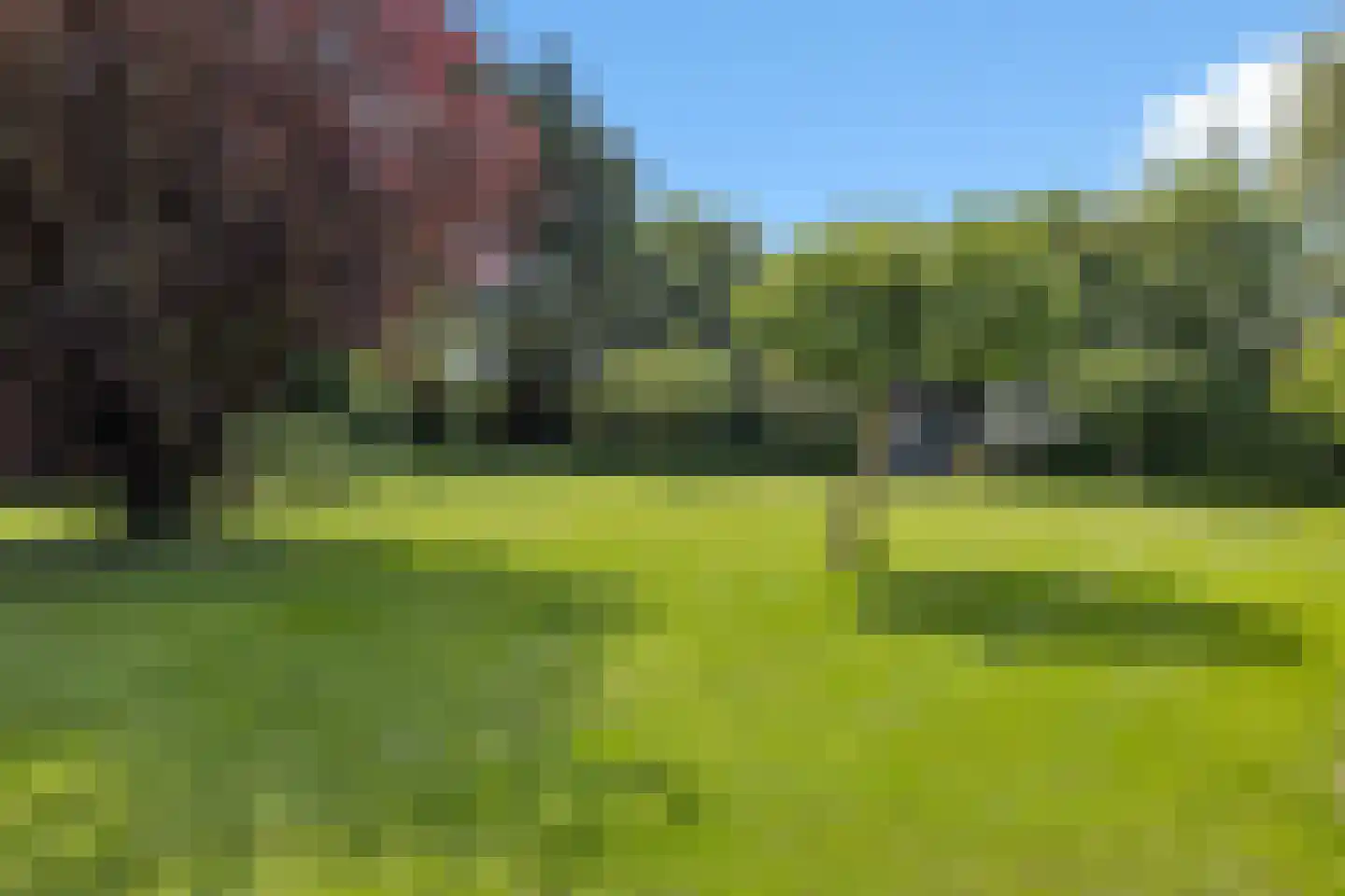 Molenweg 27 Wieringerwaard thumbnail 43