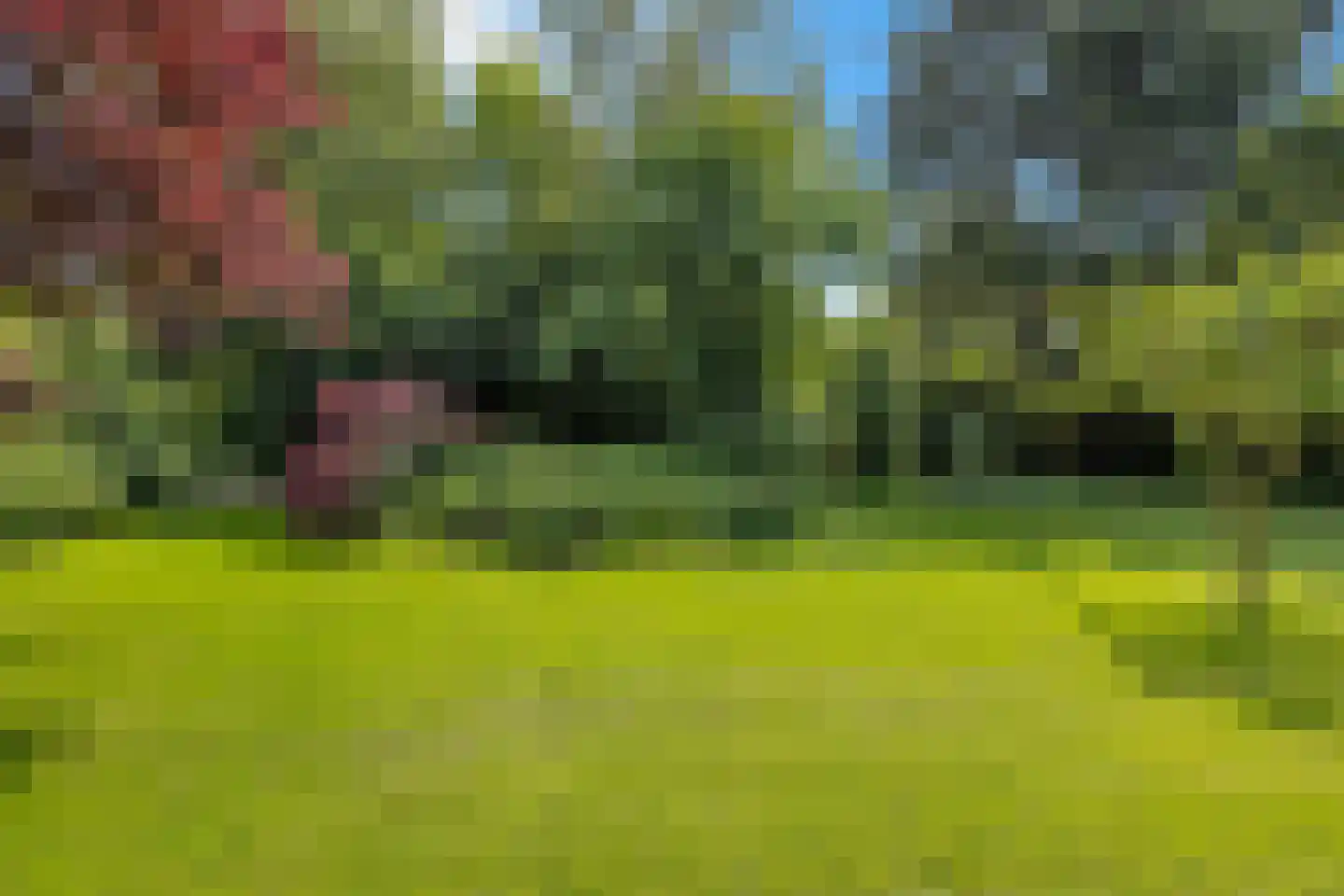 Molenweg 27 Wieringerwaard thumbnail 45