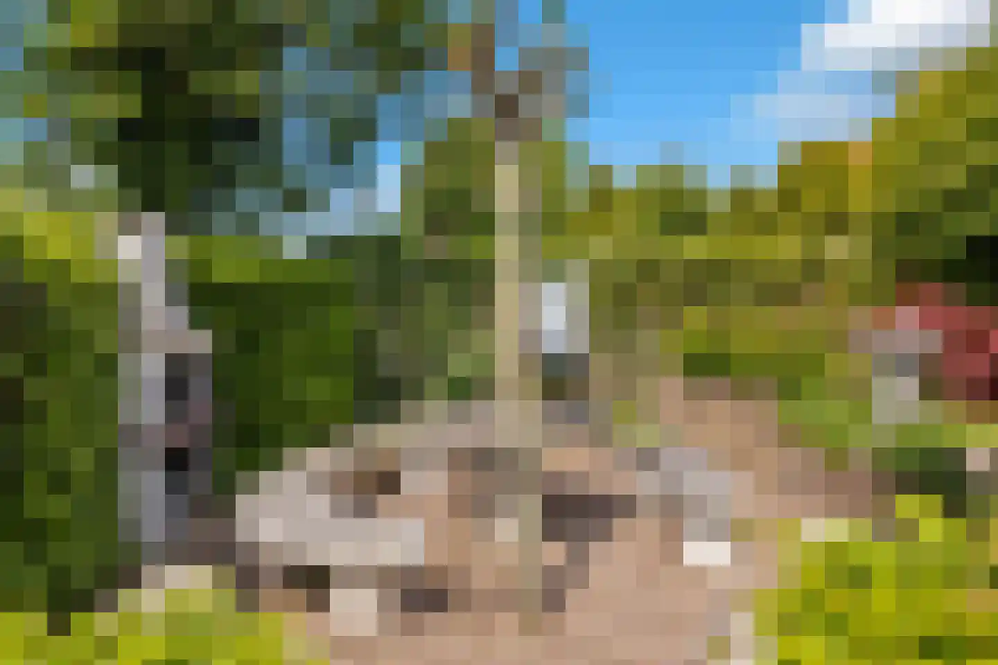 Molenweg 27 Wieringerwaard thumbnail 46