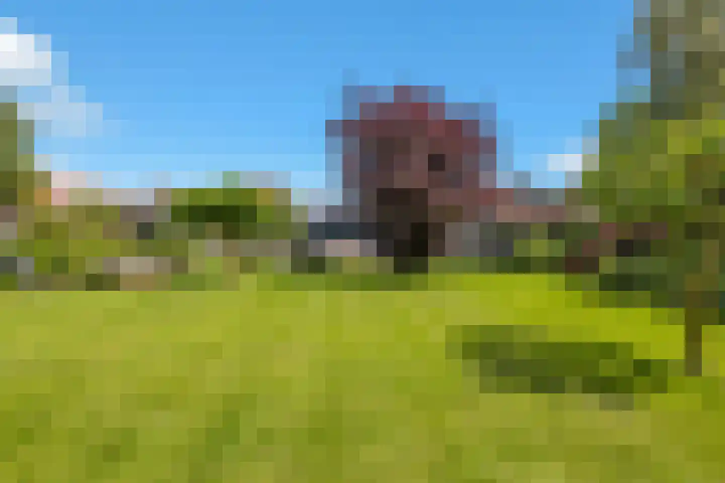 Molenweg 27 Wieringerwaard thumbnail 5
