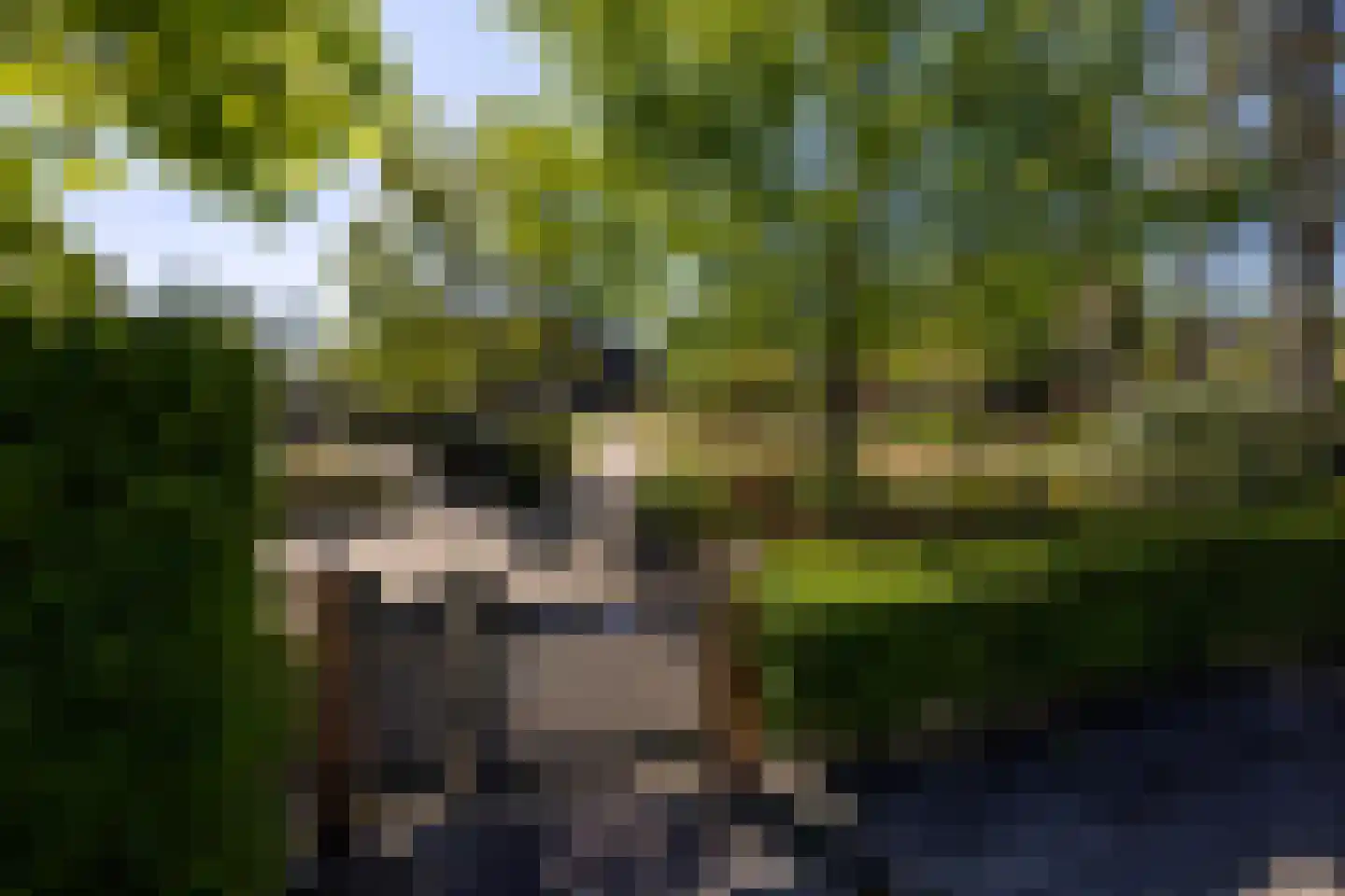 Molenweg 28 Giethoorn thumbnail 11