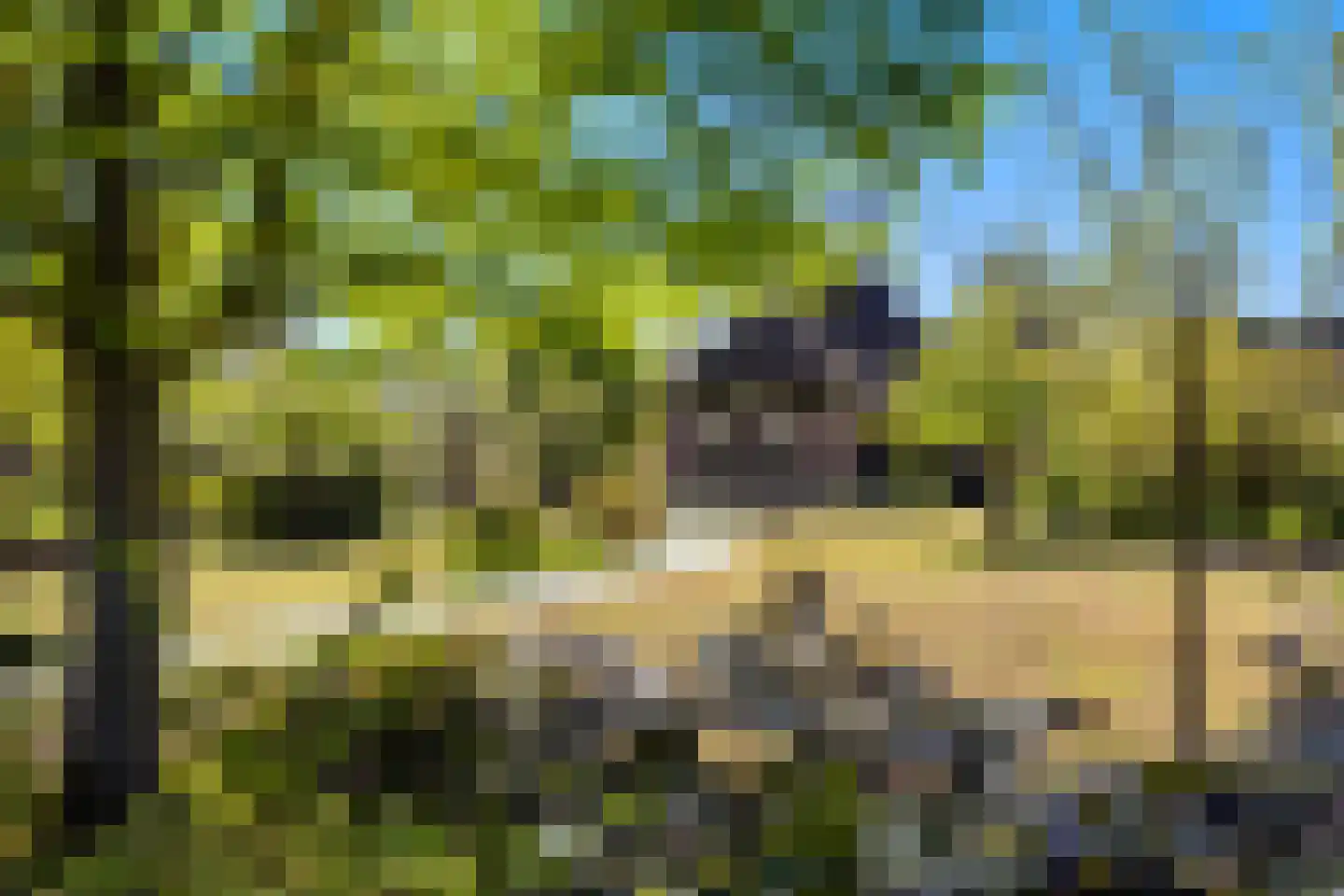 Molenweg 28 Giethoorn thumbnail 12