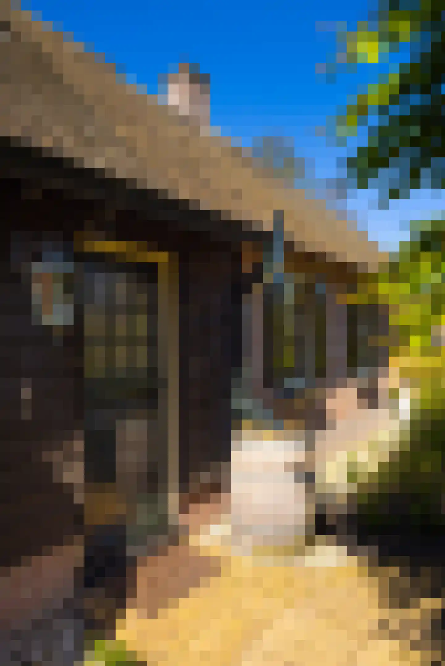 Molenweg 28 Giethoorn thumbnail 17