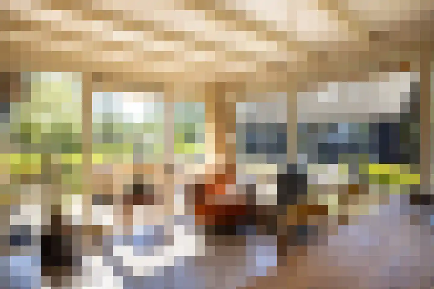 Molenweg 28 Giethoorn thumbnail 32