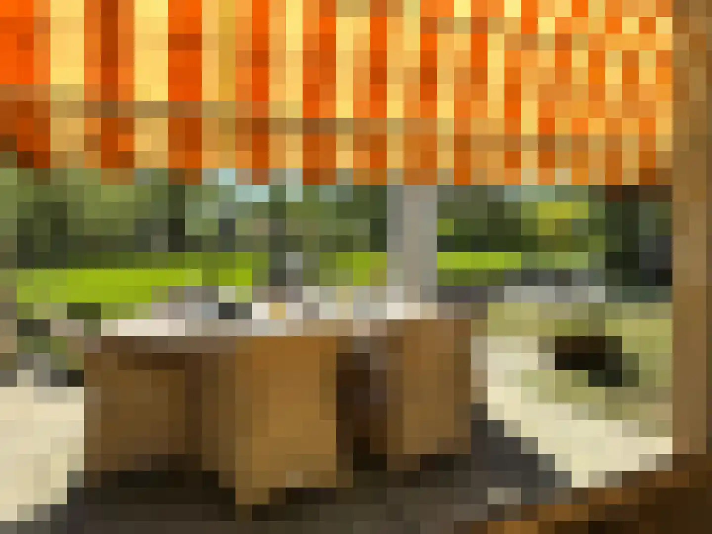 Molenweg 28 Giethoorn thumbnail 38