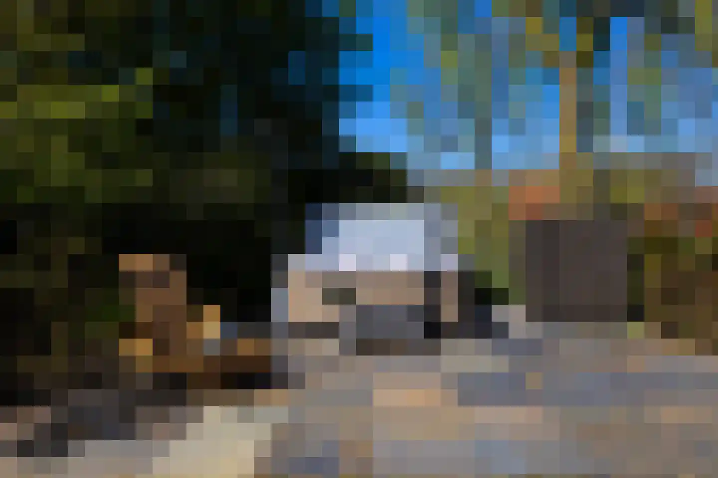 Molenweg 28 Giethoorn thumbnail 51