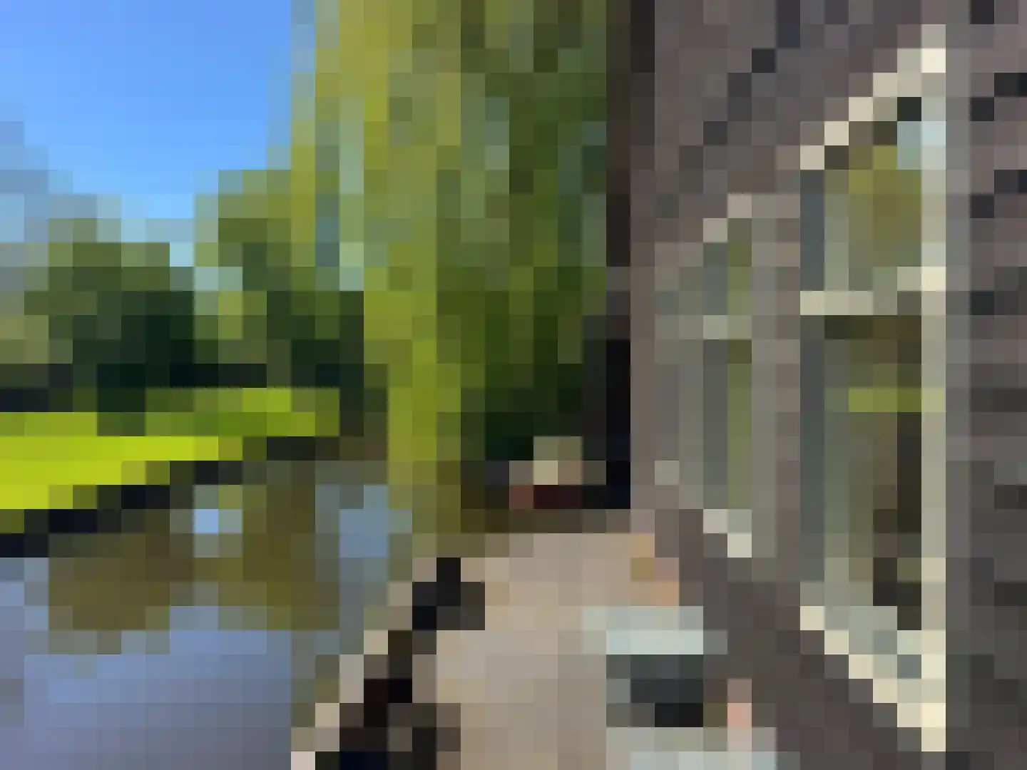Molenweg 28 Giethoorn thumbnail 54